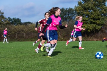 Bild 47 - B-Juniorinnen Halstenbek-Rellingen - Hamburger SV 2 : Ergebnis: 3:8